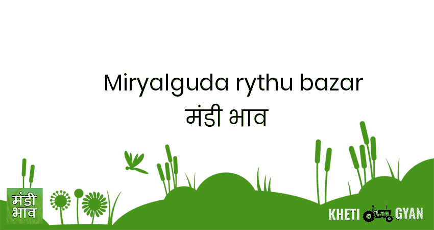 Miryalguda(Rythu Bazar) मंडी भाव की ताज़ा तस्वीर
